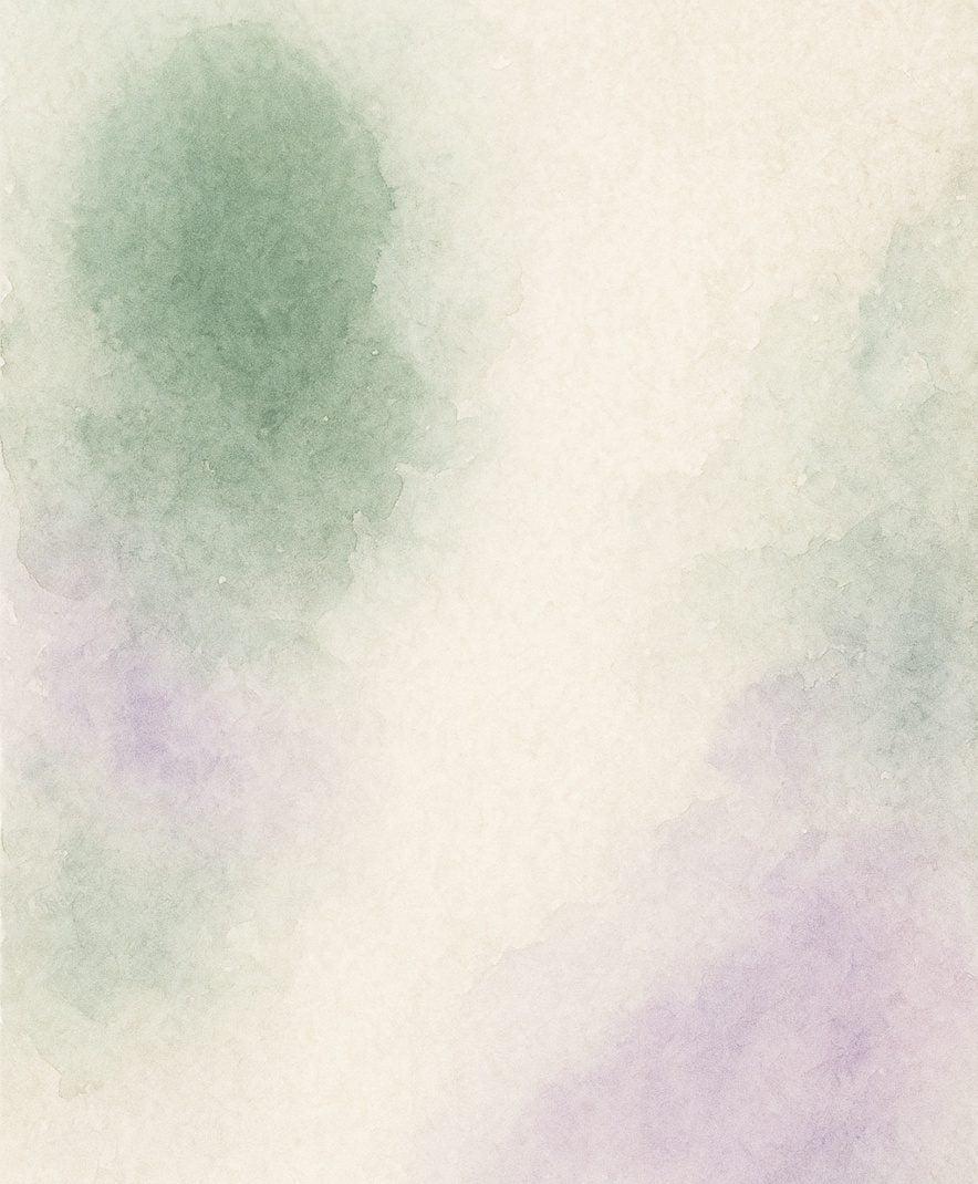 marula sclerocarya birrea